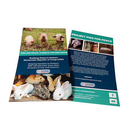 Pigs for Peace Info Card